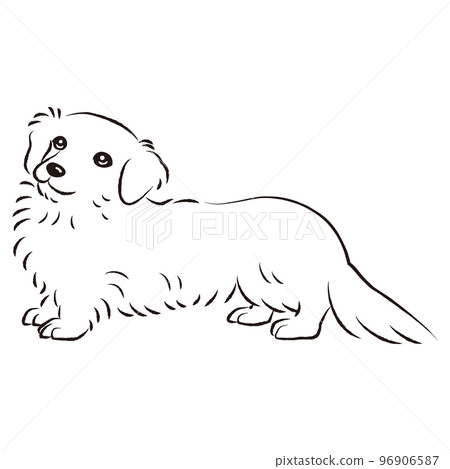 簡單可愛的微型臘腸犬手繪線描矢量圖（黑白） 96906587