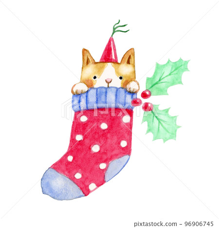 聖誕禮物襪子裡的貓【手繪水彩畫】 96906745