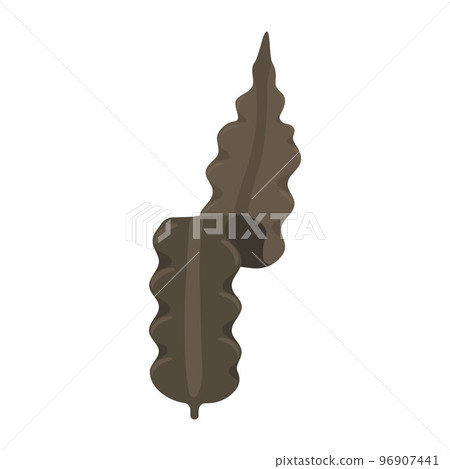 Vector illustration of kelp. Vector illustration of kelp. 96907441
