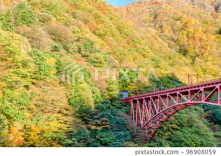 富山縣黑部市新山彥橋，秋天的黑部峽谷 96908059