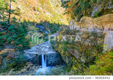 Kurobe Gorge in autumn, views of Jinkuiiwa Rock and Keyakidaira, Kurobe City, Toyama Prefecture 96908442