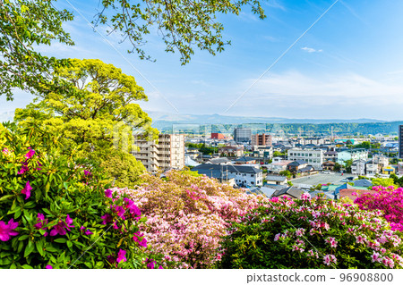 以阿蘇山脈和城市景觀為背景的神社杜鵑花“日吉神社”熊本縣菊池郡大津町 以阿蘇山脈和城市景觀為背景的神社杜鵑花“日吉神社”熊本縣菊池郡大津町 96908800