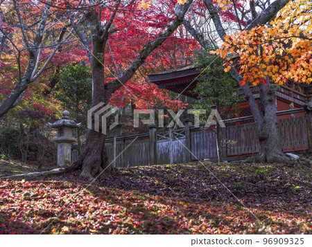 三井寺（音城寺）毗沙門堂，天台寺文宗總本山 96909325