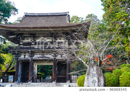 三井寺(音城寺)天大寺總寺仁王門 三井寺(音城寺)天大寺總寺仁王門 96909345