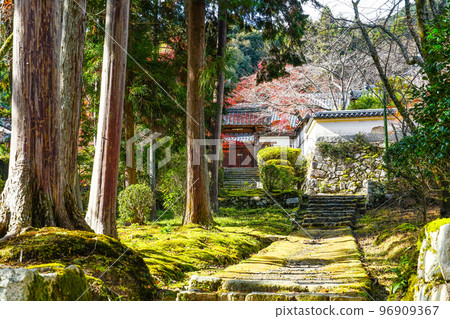 Tendaijimon sect head temple Miidera (Onjoji) precincts Tendaijimon sect head temple Miidera (Onjoji) precincts 96909367