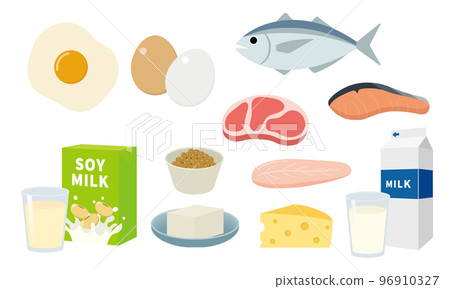 Illustration set of food containing protein Illustration set of food containing protein 96910327