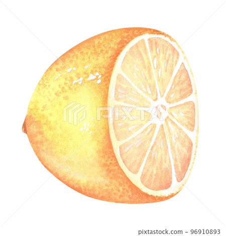 Half a lemon. Cross section. Watercolor illustration. Isolated on a white background. For your design stickers, nature prints, product packaging with citrus acid or scent 96910893