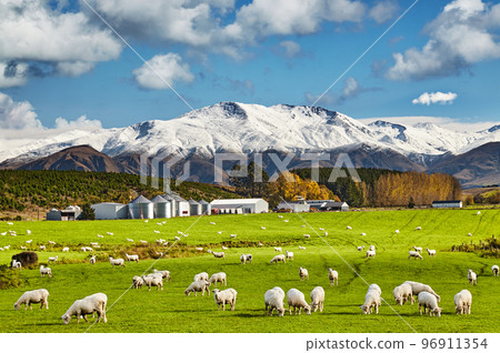 Beautiful New Zealand landscape 96911354