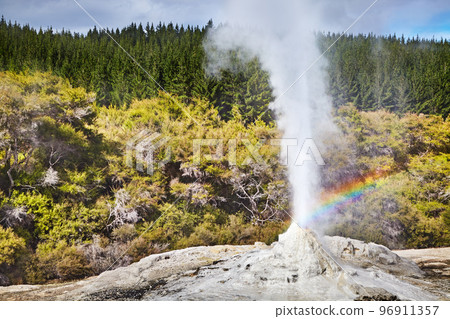 Lady Knox Geyser, New Zealand Lady Knox Geyser, New Zealand 96911357