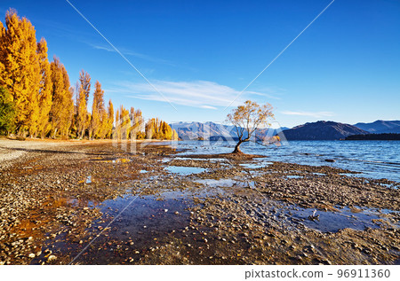 Lake Wanaka, New Zealand Lake Wanaka, New Zealand 96911360