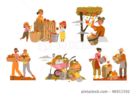 People Harvesting Gathering Ripe Agricultural Crops from Garden Vector Set 96911592