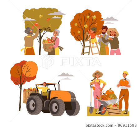 People Harvesting Gathering Ripe Agricultural Crops from Garden Vector Set 96911598