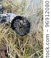 Coal 96912080