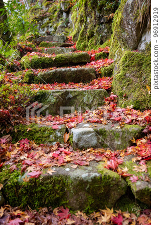 山陰的小京都 秋天在津和野發現的落葉 96912919