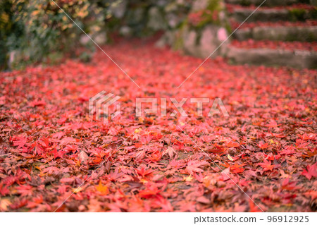 山陰的小京都 秋天在津和野發現的落葉 96912925