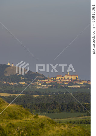 Mikulov castle and vineyard, Southern Moravia, Czech Republic 96913361