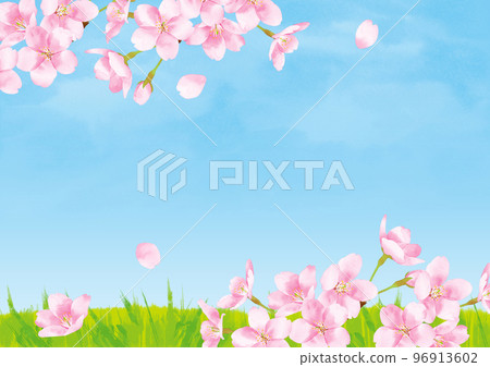 櫻花水彩風格插畫藍天和田野背景素材 96913602