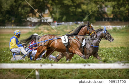 Jockeys and horses. Racing horses competing with each other. Race in harness with a sulky or racing bike. Harness racing. Trotting horse race. Sport banner Jockeys and horses. Racing horses competing with each other. Race in harness with a sulky or racing bike. Harness racing. Trotting horse race. Sport banner 96913700