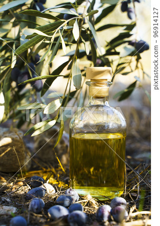 Olive oil with olive tree branch background. Natural oil for food or cosmetics from natural ingredients. Healthy food, cosmetics concept. Olive oil with olive tree branch background. Natural oil for food or cosmetics from natural ingredients. Healthy food, cosmetics concept. 96914127