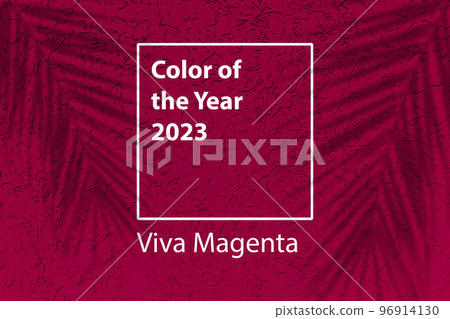 Color of the year 2023 background. Magenta new trend color on red purple background with shadow palm. 96914130