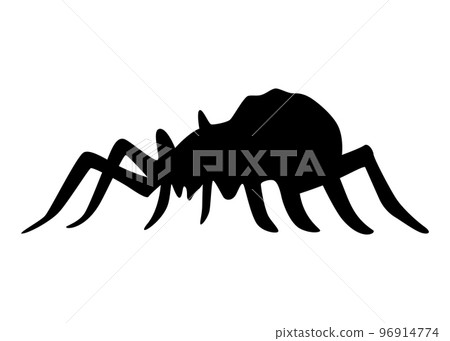 Spider silhouette. Black close-up insect, scary big spider isolated on white. Poisonous dangerous animal. Creepy wildlife bug 96914774