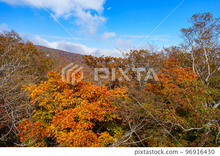 Nasu gondola Autumn foliage view from Goyo azalea observatory 96916430