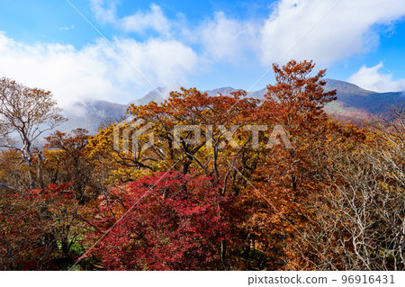 Nasu gondola Autumn foliage view from Goyo azalea observatory 96916431