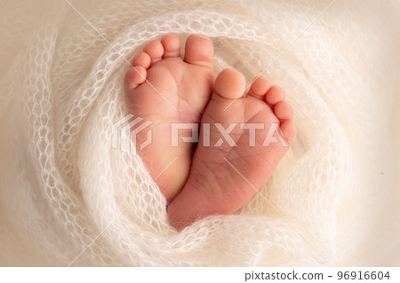 Soft feet of a newborn in a white woolen blanket. Close-up of toes, heels and feet of a newborn baby. The tiny foot of a newborn. Studio Macro photography. Baby feet covered with isolated background . Soft feet of a newborn in a white woolen blanket. Close-up of toes, heels and feet of a newborn baby. The tiny foot of a newborn. Studio Macro photography. Baby feet covered with isolated background . 96916604