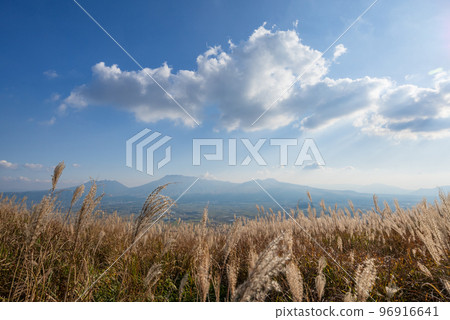 View of Aso Gogaku from Daikanbo in pampas grass field View of Aso Gogaku from Daikanbo in pampas grass field 96916641