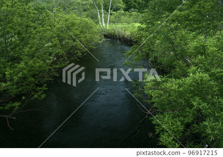初夏的尾瀨 臭甘藍的季節過去後，尾瀨迎來了一段安靜的時光。我喜歡在每年的這個時候獨自散步。 96917215