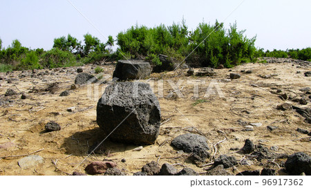 Ruin of old historic Archaeological excavations at Adulis, Eritrea Ruin of old historic Archaeological excavations at Adulis, Eritrea 96917362