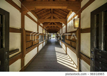 Oita Funai Castle Corridor Bridge Oita City, Oita Prefecture 96918965