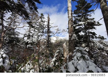 會津Komagatake 96919865