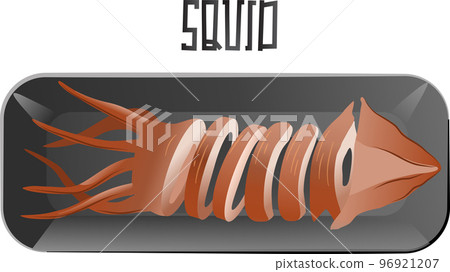 Grilled squid vector illustration 96921207