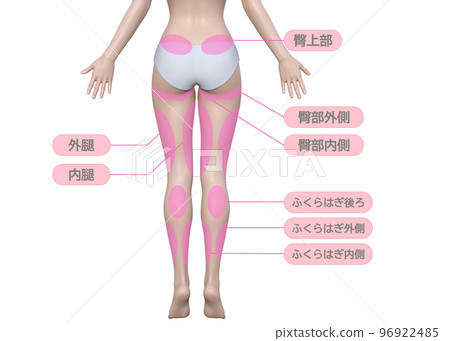 想要減肥的女人下半身飲食治療部位圖解 想要減肥的女人下半身飲食治療部位圖解 96922485