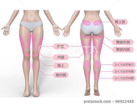 想要減肥的女性下半身飲食治療區前後視圖圖解 想要減肥的女性下半身飲食治療區前後視圖圖解 96922488