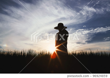 Rice, wheat and barley grains ripening in autumn rice field and field landscape and farmer and sunset field background Rice, wheat and barley grains ripening in autumn rice field and field landscape and farmer and sunset field background 96924859