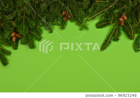 Close up fresh Christmas tree branches over green 96925248