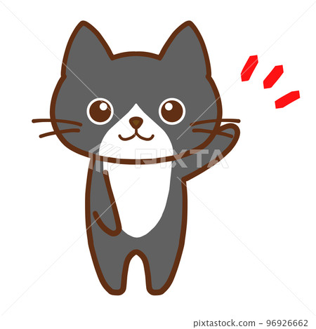 A round-eyed cute black cat that conveys one point A round-eyed cute black cat that conveys one point 96926662