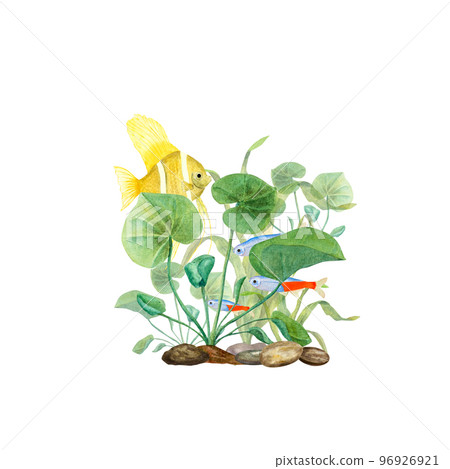 Watercolor illustration of a set of marine fauna isolated on white background. Seahorse, seafish, stone, corals, seaweed, plants, water, sea, ocean. Print, design, poster, fabric, decoration, pattern 96926921