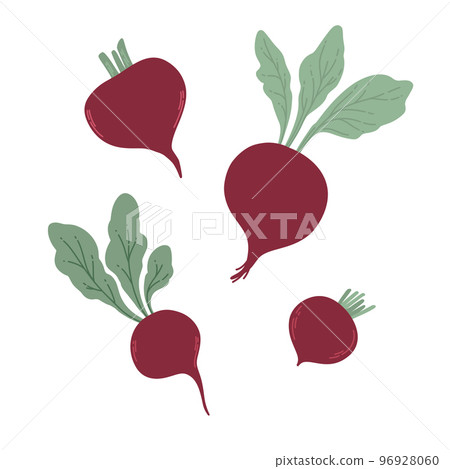 Beet. Red beetroot with leaves whole isolated Beet. Red beetroot with leaves whole isolated 96928060