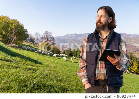 Farmer with tablet on the background of a flock of sheep. Farmer with tablet on the background of a flock of sheep. 96928474