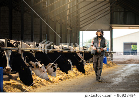 Farmer with a digital tablet in a cow farm. 96928484