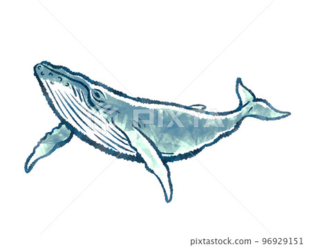 whale 96929151