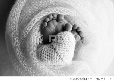 Feet of a newborn close-up in a woolen blanket. Pregnancy, motherhood, preparation and expectation of motherhood, the concept of the birth of a child. Black and white photography. Feet of a newborn close-up in a woolen blanket. Pregnancy, motherhood, preparation and expectation of motherhood, the concept of the birth of a child. Black and white photography. 96931097