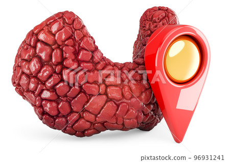 Human thyroid with map pointer, 3D rendering Human thyroid with map pointer, 3D rendering 96931241