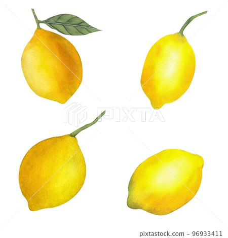 Hand drawn watercolor half, whole and slice of lemon 96933411