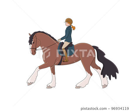 Beautiful horsewoman rides a shire horse 96934119
