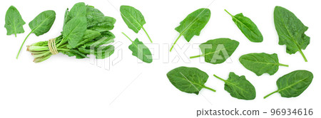 fresh spinach isolated on white background with copy space for your text. Top view. Flat lay 96934616