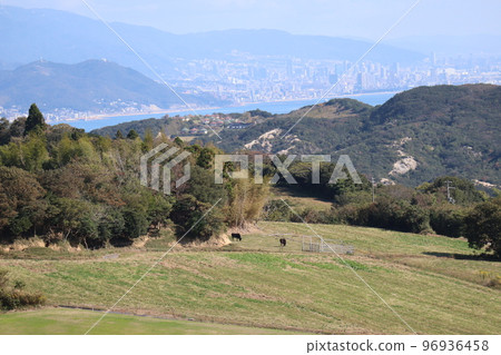 Landscape with blue sky, hazy mountains, urban cityscape, sea, mountains, and two cows on the ranch Landscape with blue sky, hazy mountains, urban cityscape, sea, mountains, and two cows on the ranch 96936458